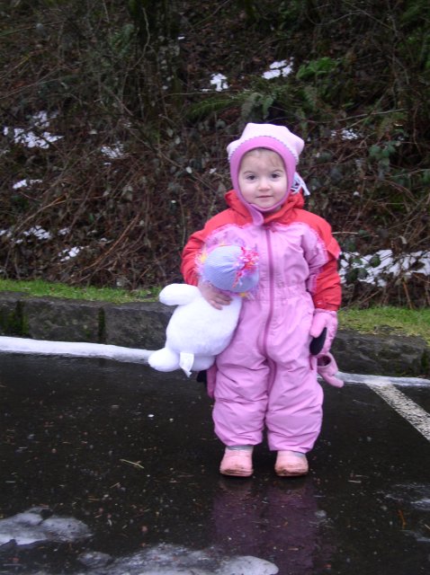 12.23.05 Elowah Falls 055 